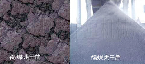 ??ú?????? ??ú??????